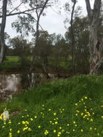 Poetry workshops by the Campaspe River